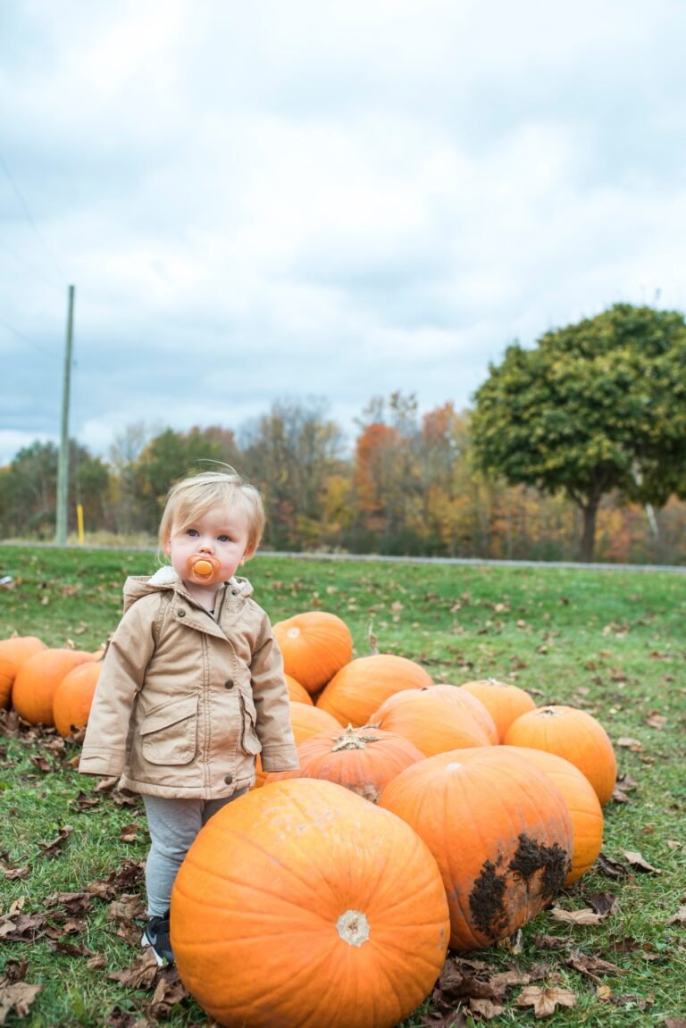 Fall Bucket List for Boys: 40 Easy Ideas for the Whole Family